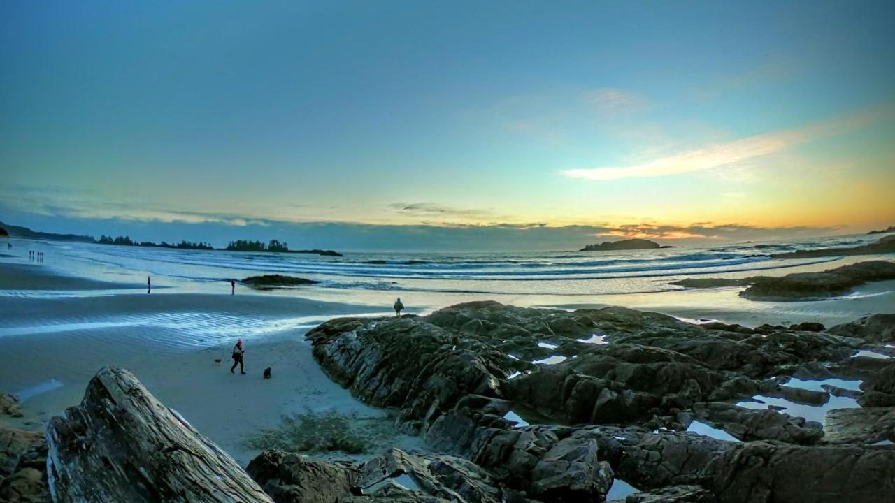 Cobble Wood And Bird Sanctuary Guest Houses Tofino Kültér fotó
