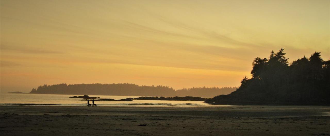 Cobble Wood And Bird Sanctuary Guest Houses Tofino Kültér fotó
