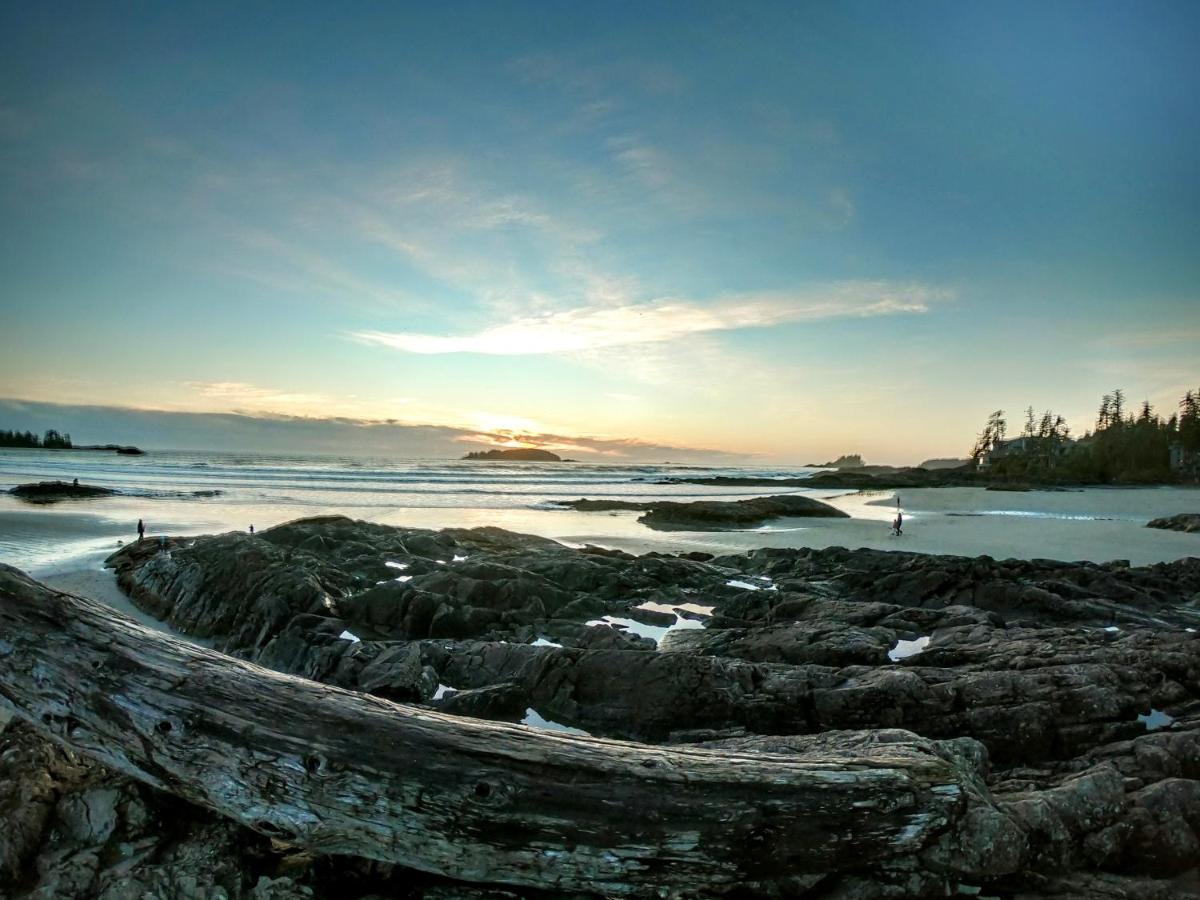 Cobble Wood And Bird Sanctuary Guest Houses Tofino Kültér fotó