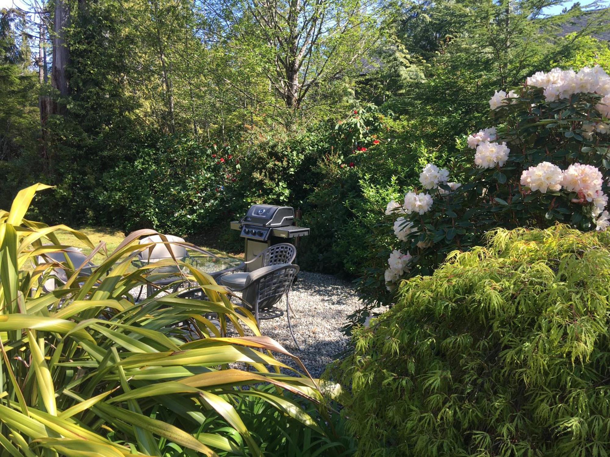 Cobble Wood And Bird Sanctuary Guest Houses Tofino Kültér fotó